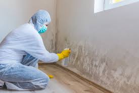 Mold Remediation for Vacation Homes in East Peoria, IL