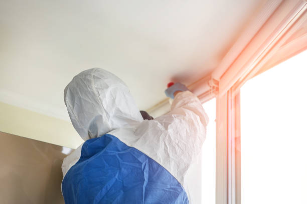 Best Residential Mold Inspection & Testing  in East Peoria, IL