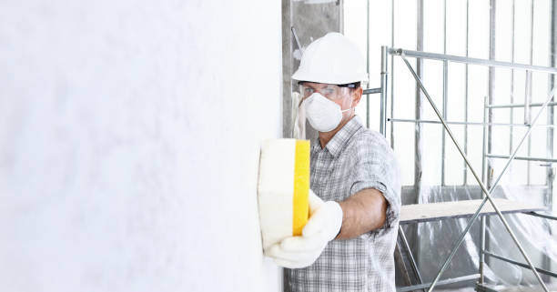 Mold Odor Removal Services in East Peoria, IL