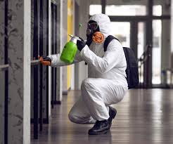 Best Environmental Consulting for Mold Prevention  in East Peoria, IL